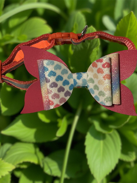 Pawty Wings Pet Collar