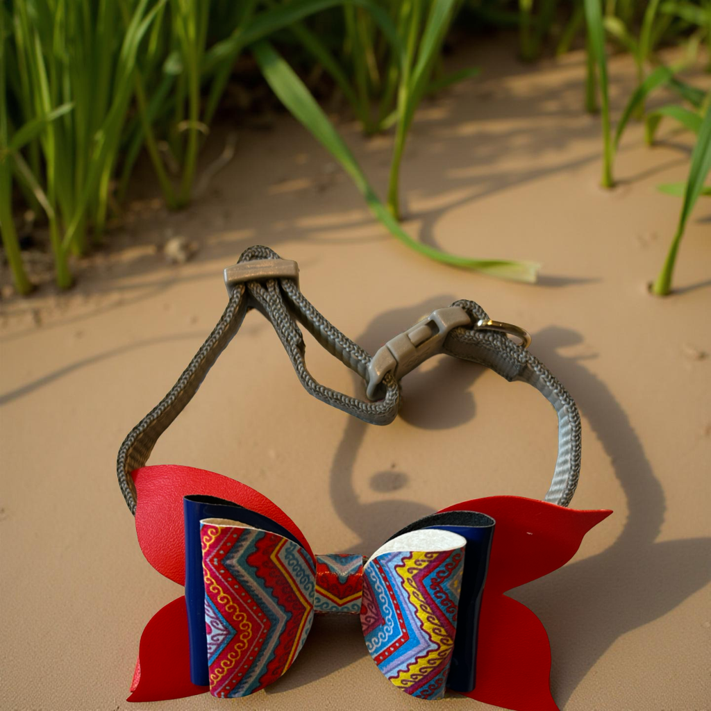 Zigzag Zoom Pet Collar