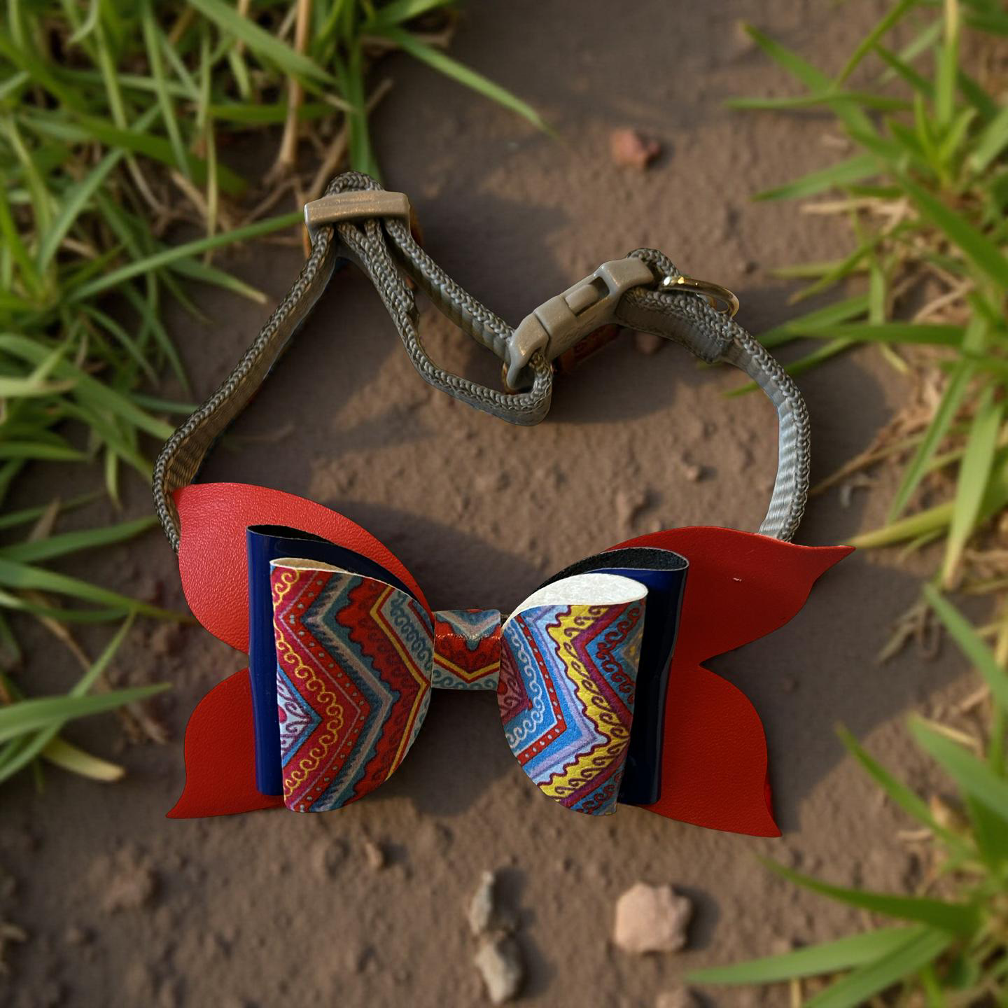 Zigzag Zoom Pet Collar