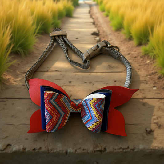 Zigzag Zoom Pet Collar