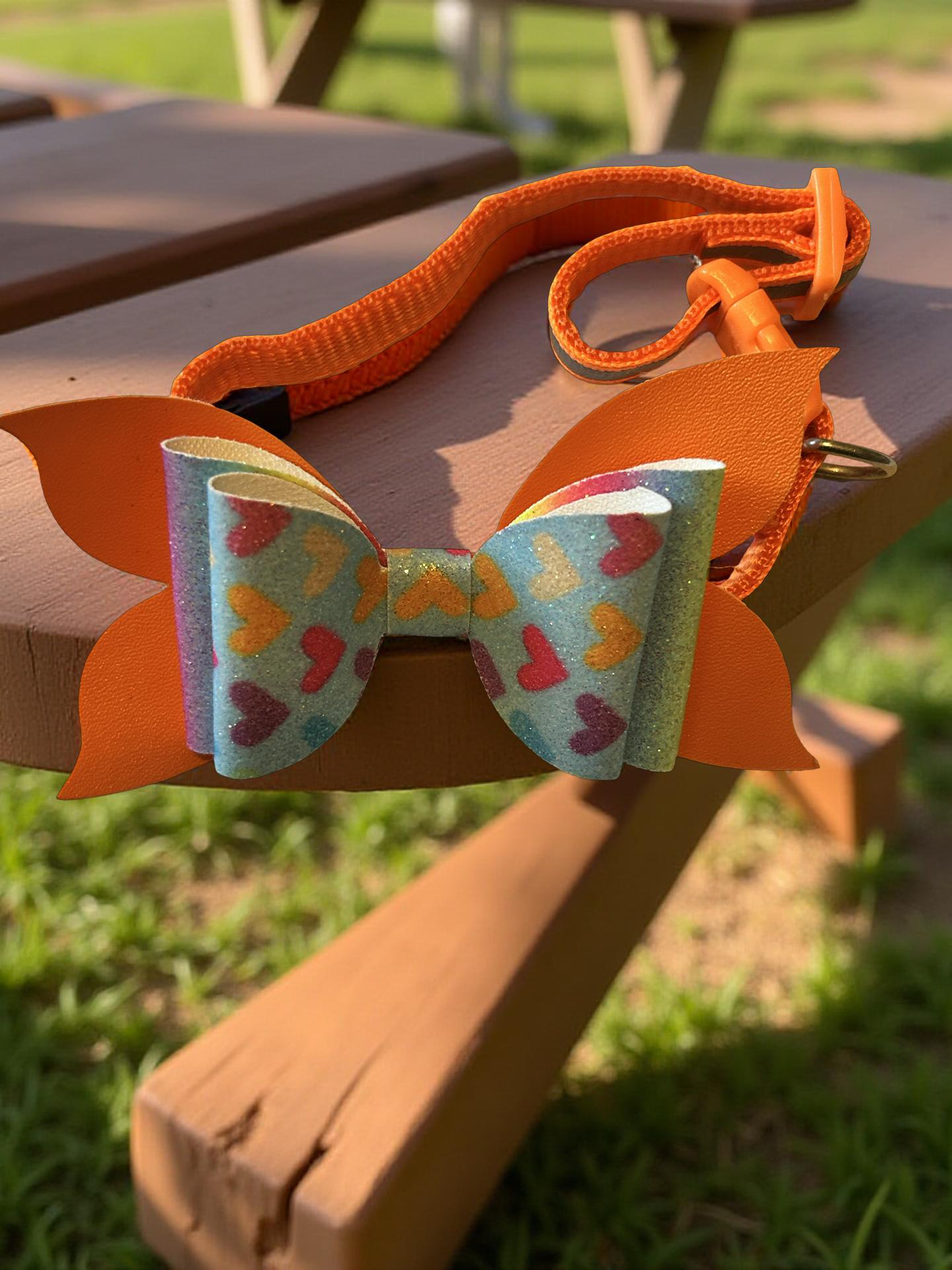 Heartburst Pet Collar