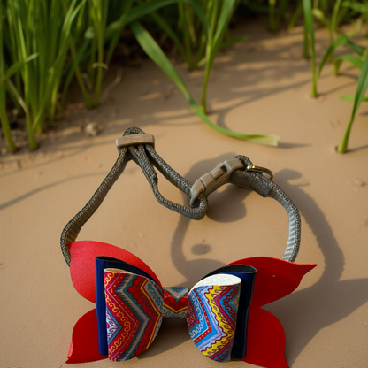 Zigzag Zoom Pet Collar