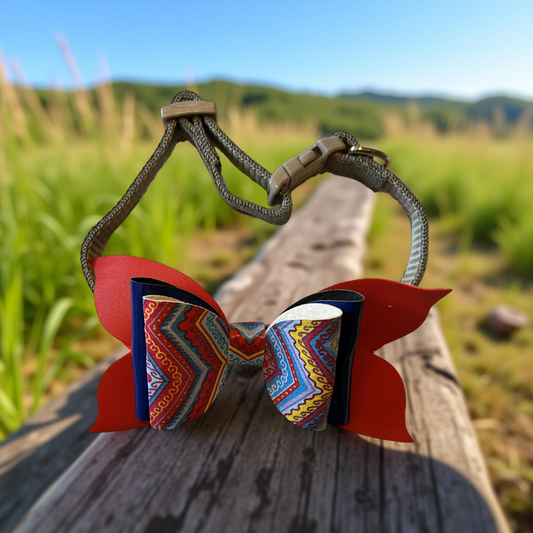 Zigzag Zoom Pet Collar