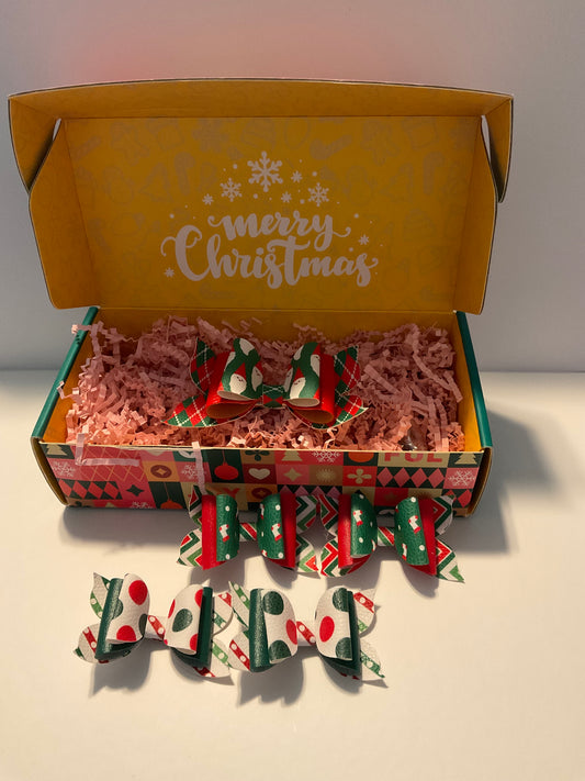 Deluxe Merry Christmas Hair Bow Gift Set